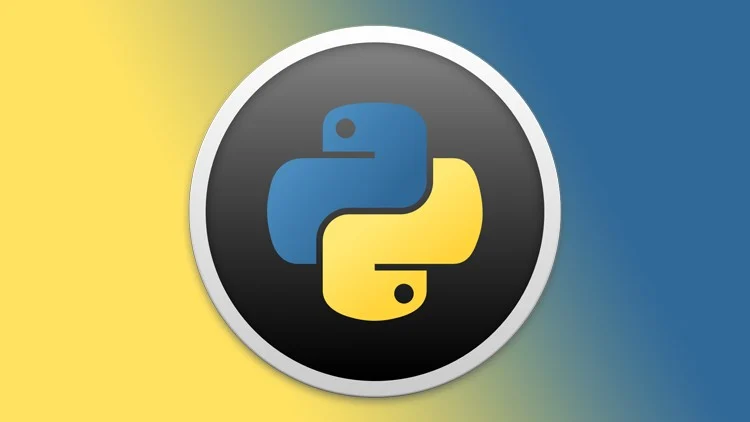 VPS для Python: настройка, установка и запуск скриптов
