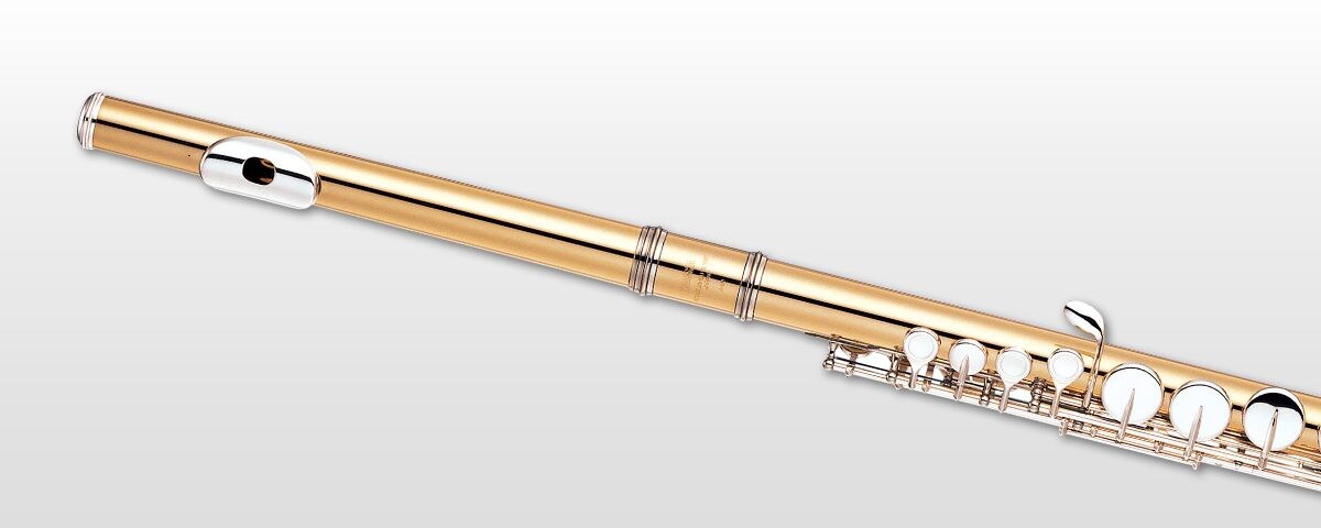 Флейты - история, устройство, виды и особенности игры